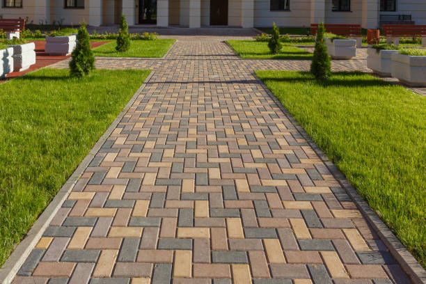 Best Local Driveway Pavers  in Vandercook Lake, MI